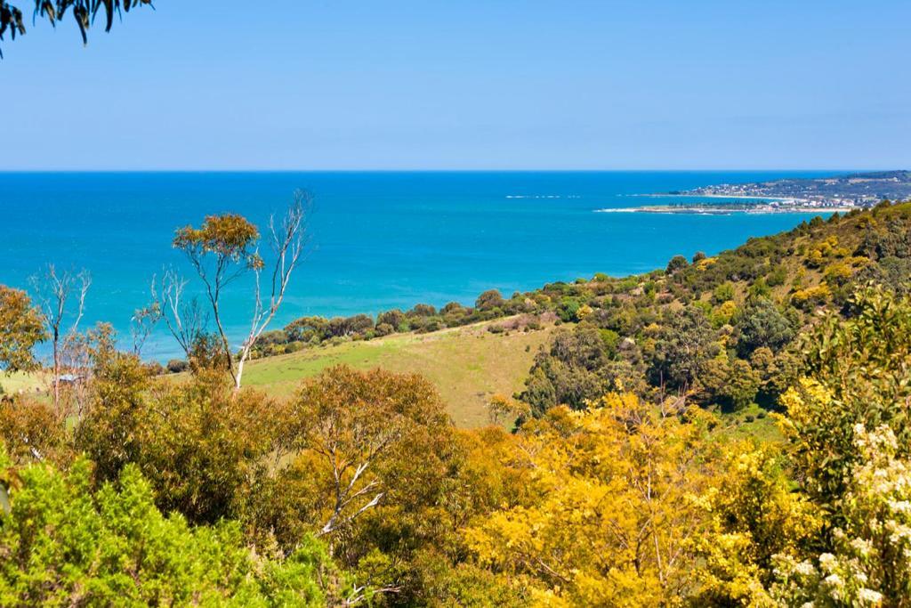 Beacon Point Ocean View Villas Skenes Creek Bagian luar foto