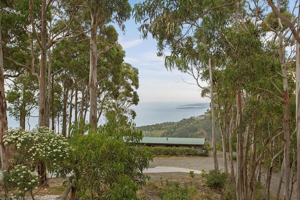 Beacon Point Ocean View Villas Skenes Creek Bagian luar foto
